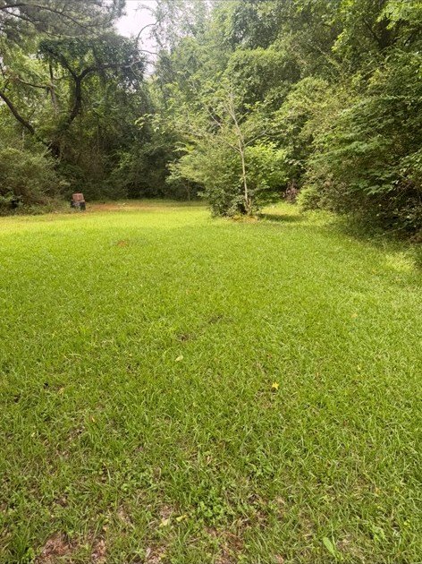Picture 4