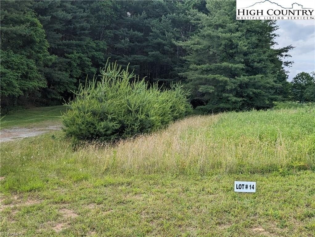 Picture 2