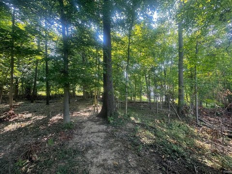 Residential Land Lot with Mature Trees