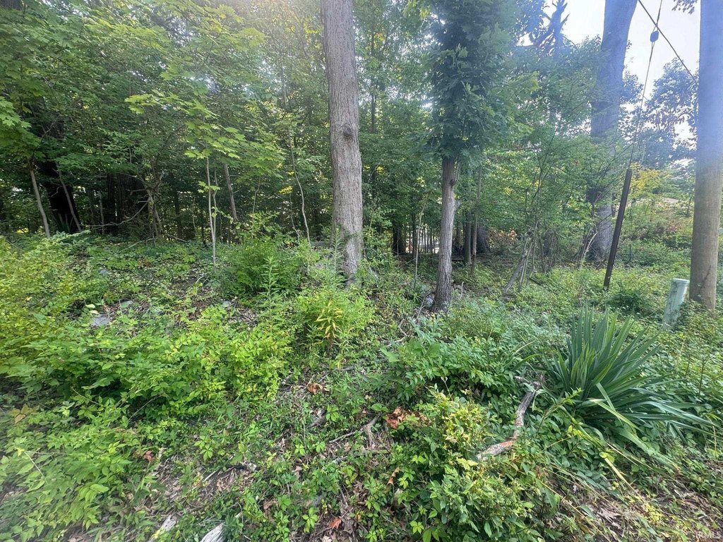Picture 5