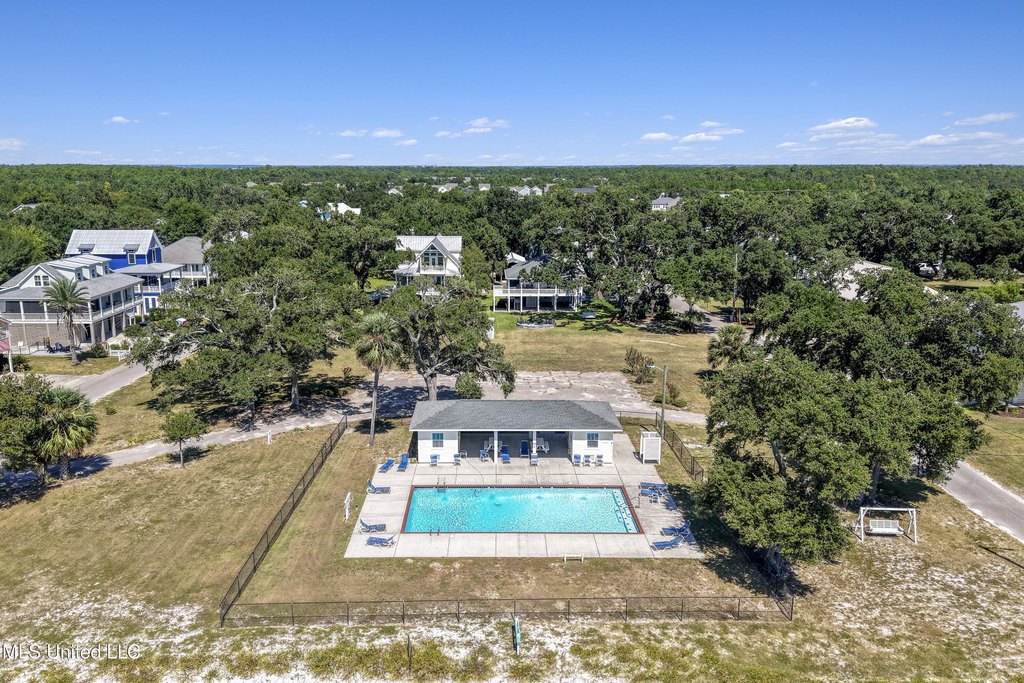 Picture 7