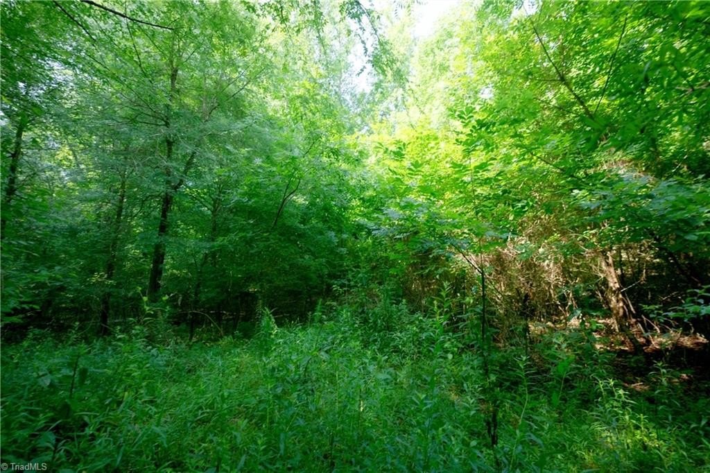 Picture 33