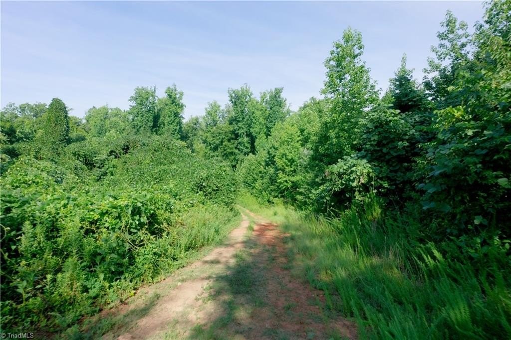 Picture 19