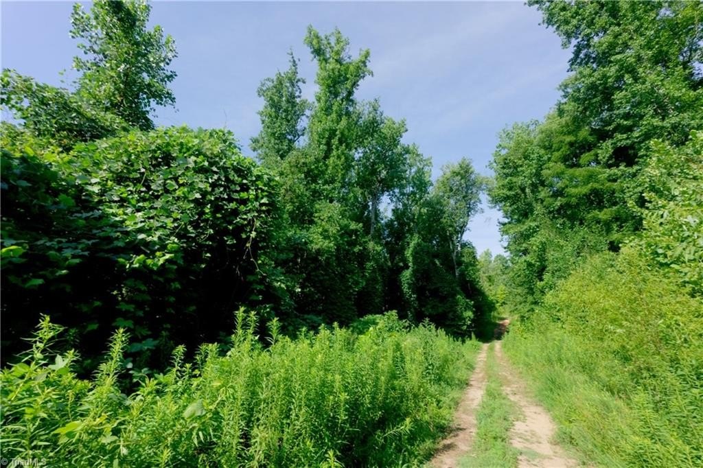 Picture 20