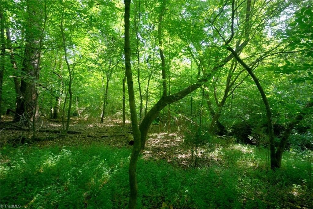 Picture 23