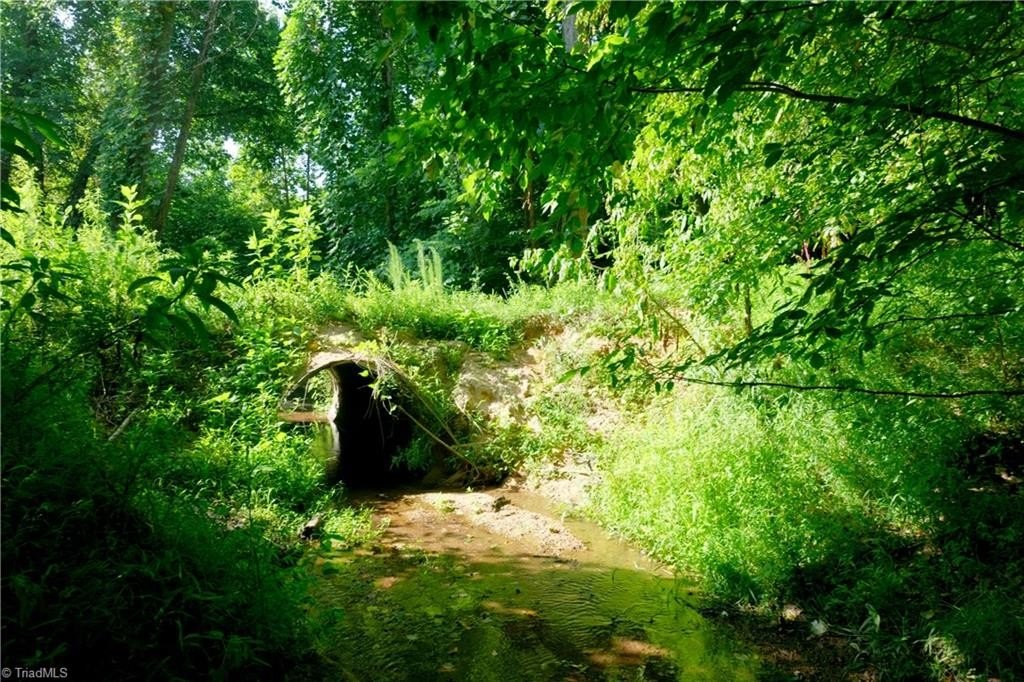 Picture 22