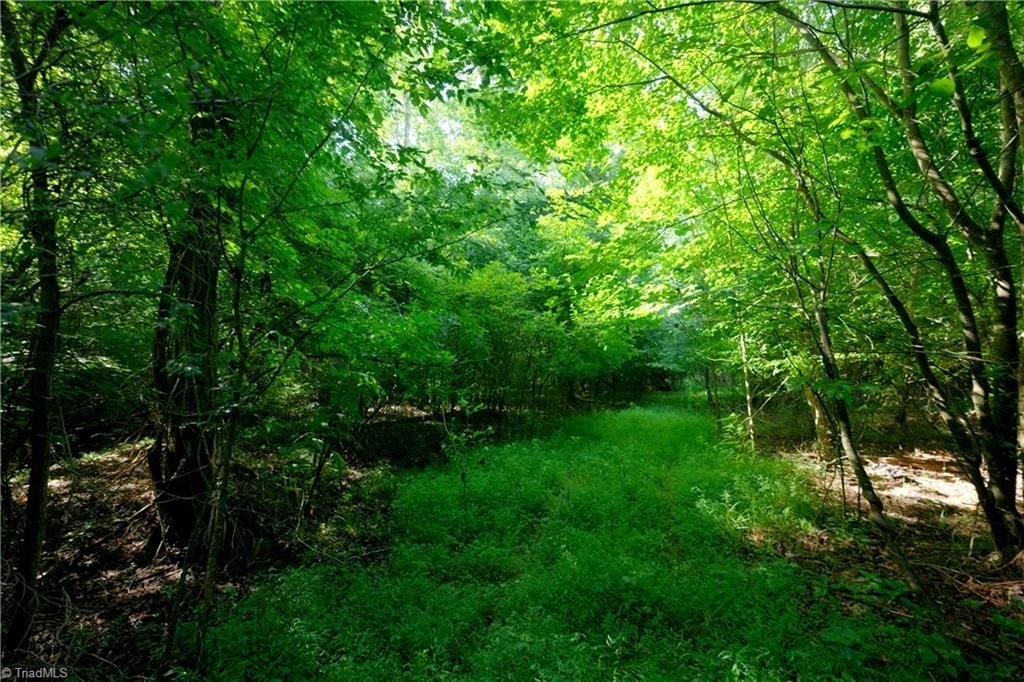 Picture 32