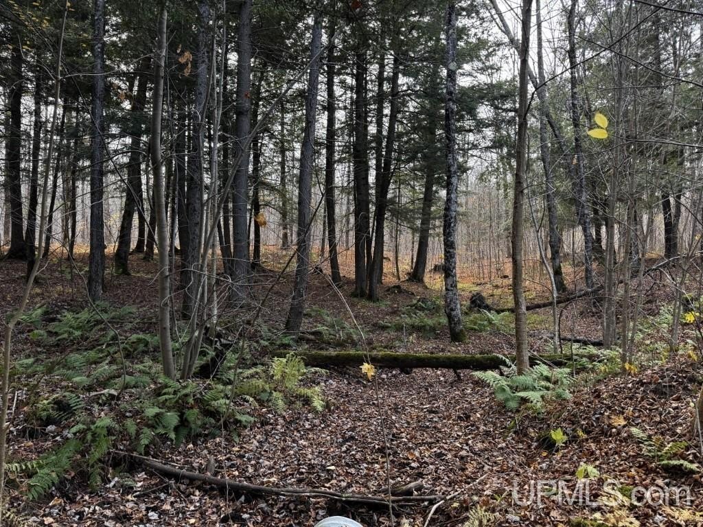 Picture 3