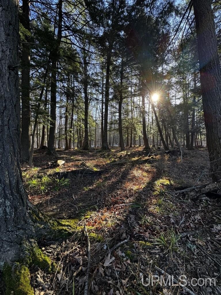 Skanee 40-Acre Hunting Land