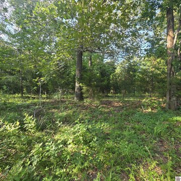 LAND - Benton, KY