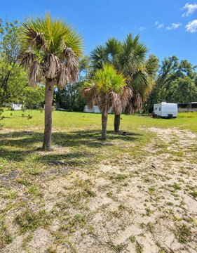 Land, Steinhatchee, FL
