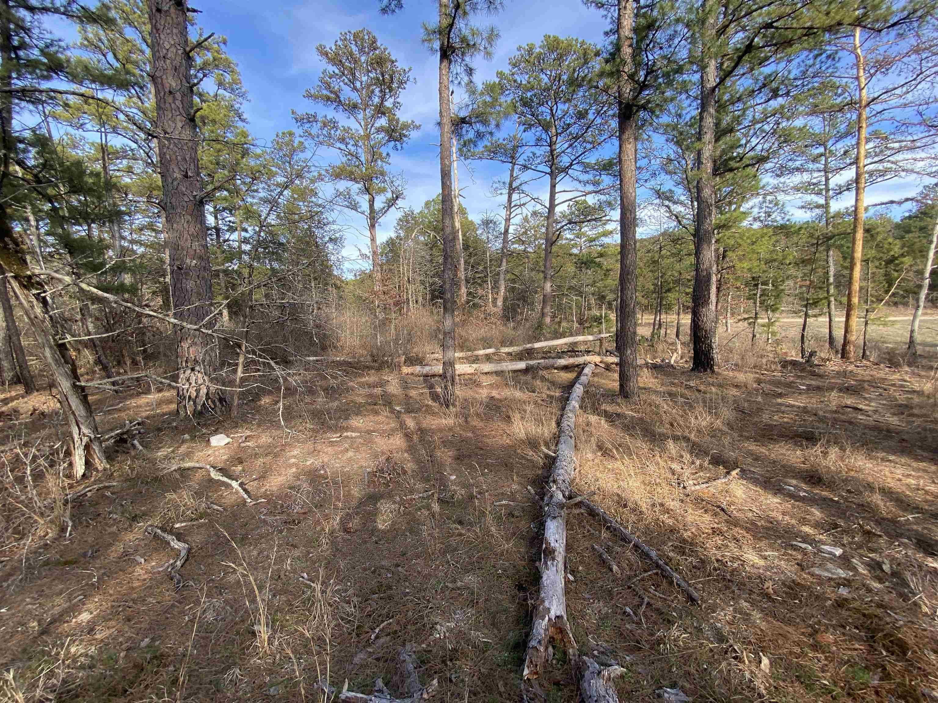 Rural Land Near White River