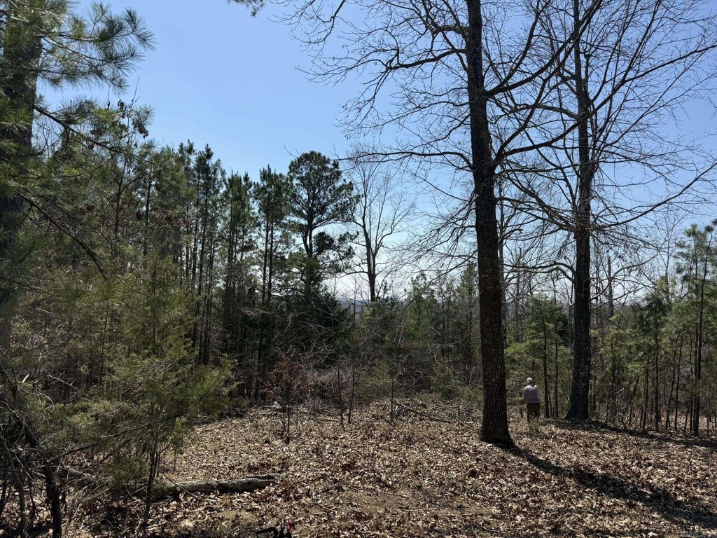 Picture 21