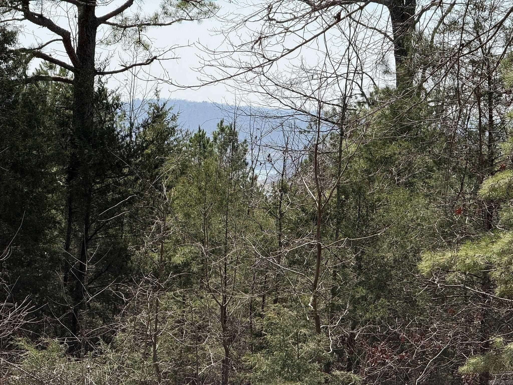 Lake View Wooded 3-Acre Lot