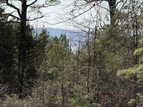 Lake View Wooded 3-Acre Lot
