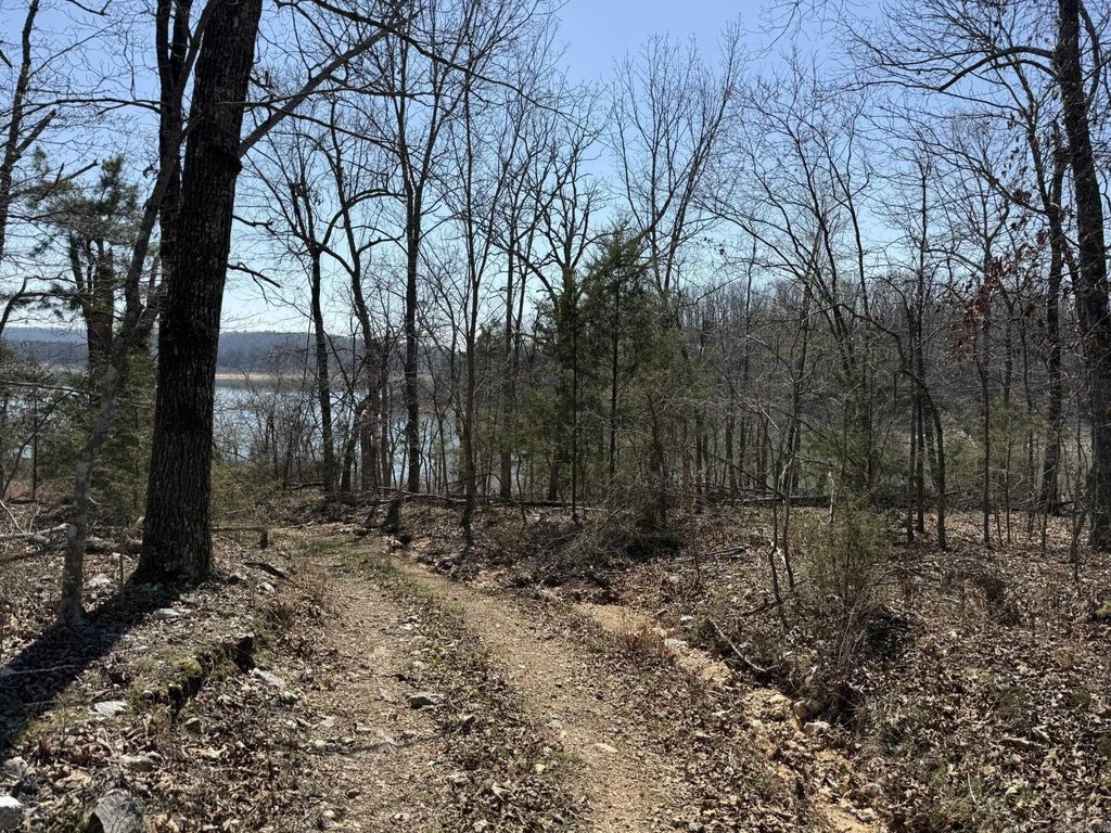 Picture 24