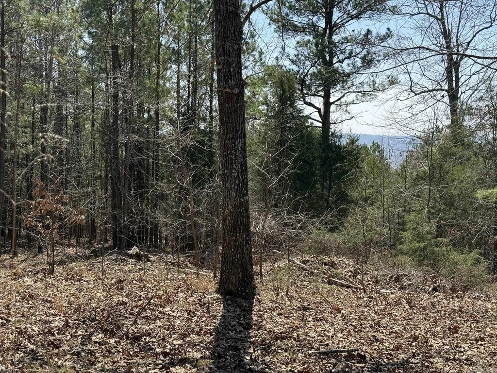 Picture 7