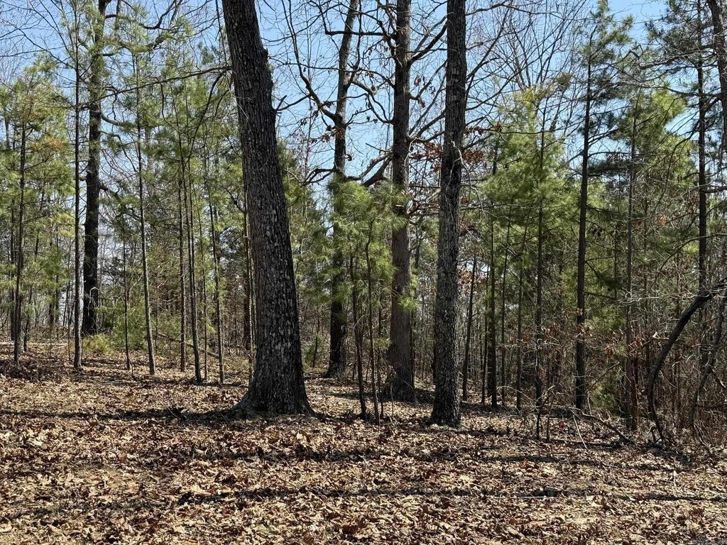 Picture 17