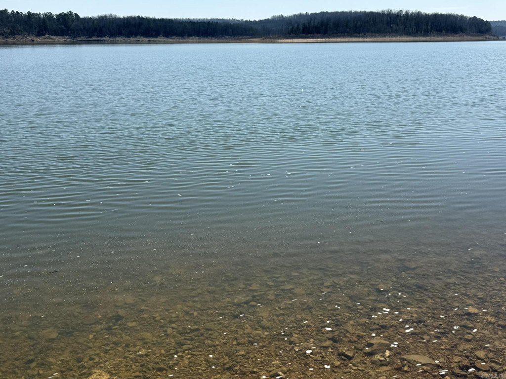 Picture 31
