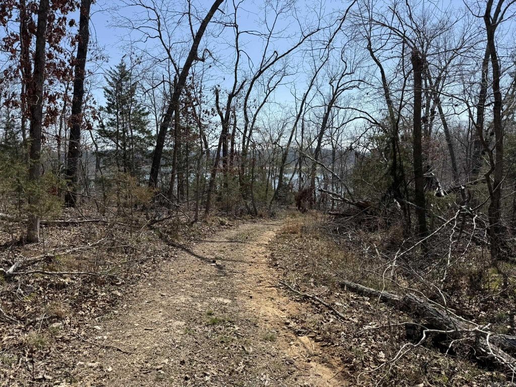 Picture 22