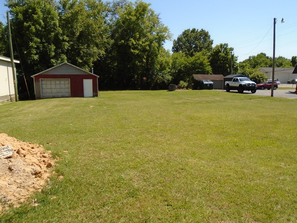 Picture 3