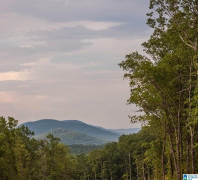 LAND - CHELSEA, AL