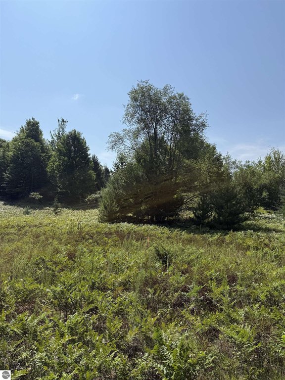 Picture 25