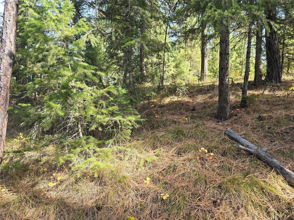 Picture 5