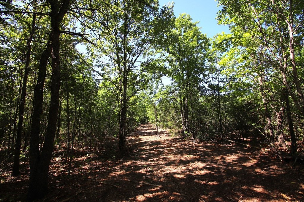 Picture 17