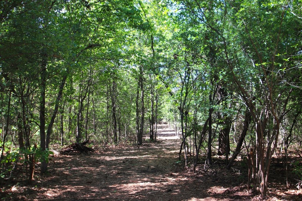 Picture 16