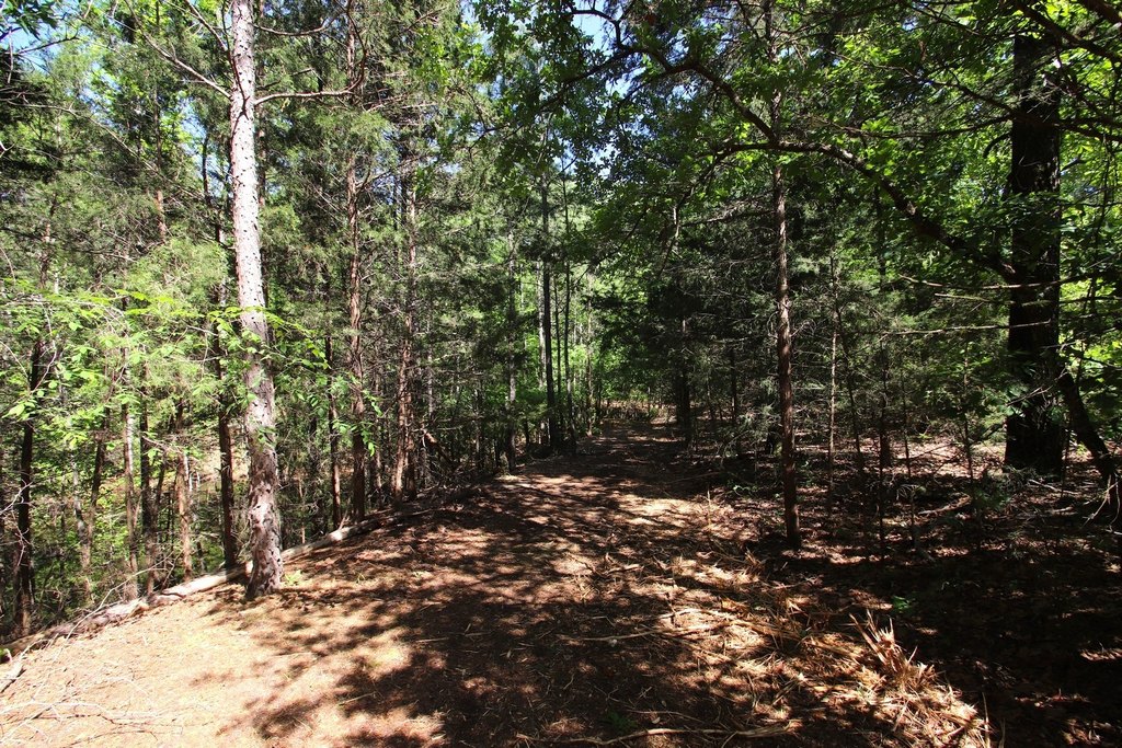 Picture 23