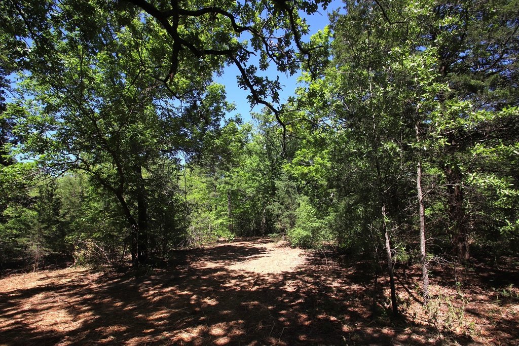 Picture 7