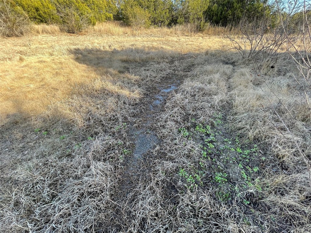 Picture 31