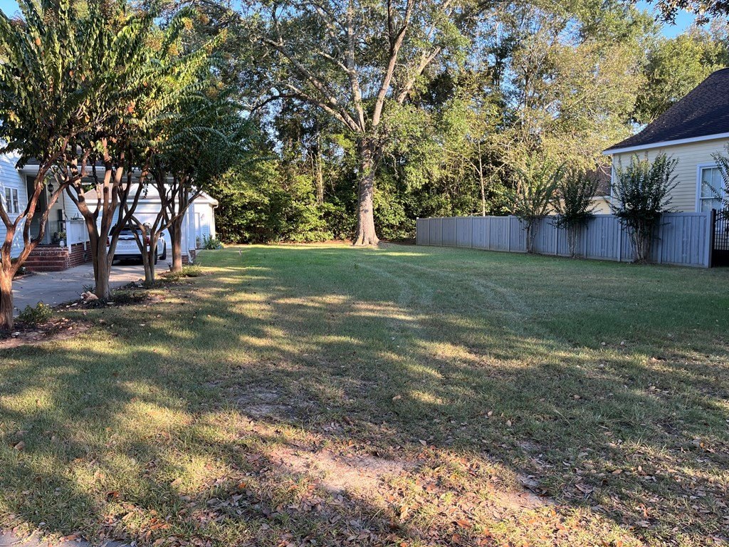 Picture 4