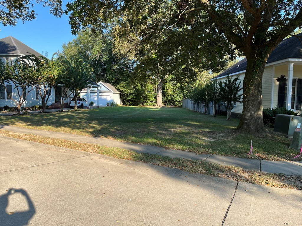 Picture 5