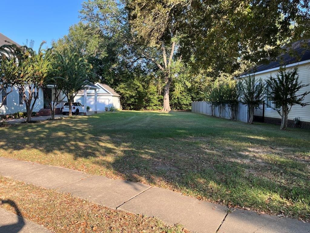 Residential Lot with Live Oaks
