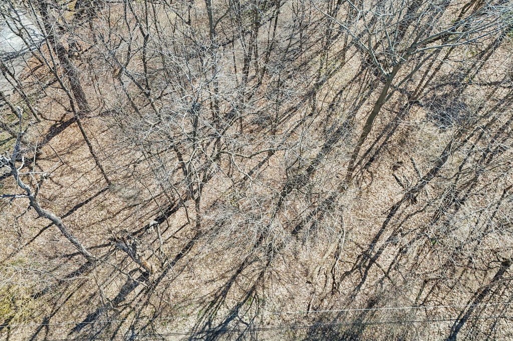 Picture 13
