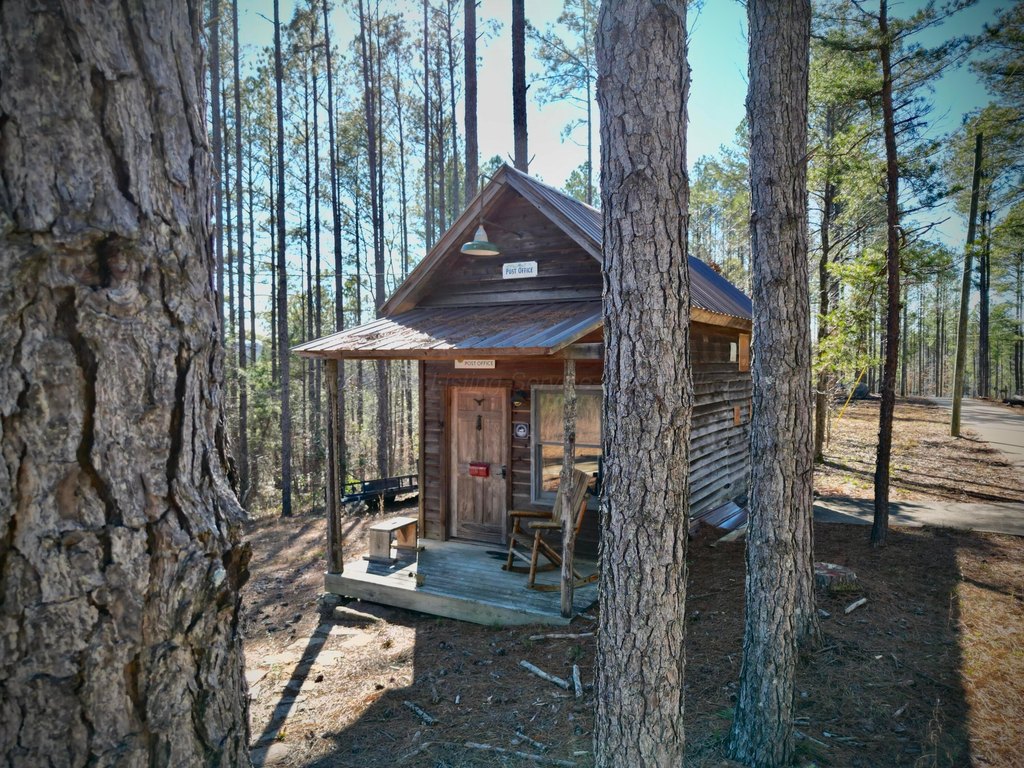 Picture 4