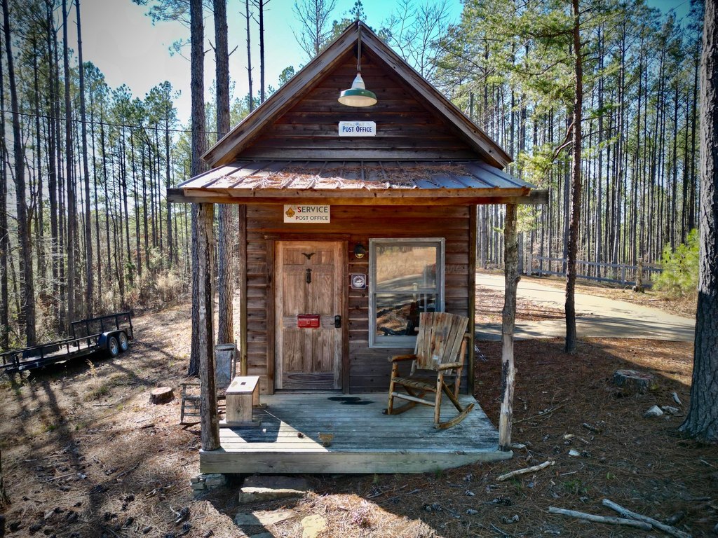 Picture 5