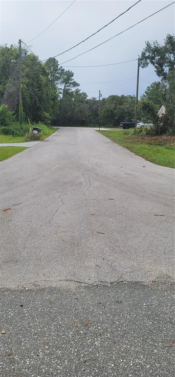 Picture 5