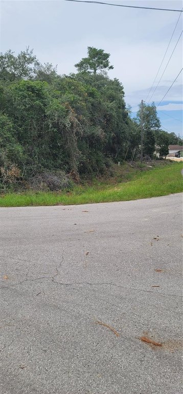 Picture 6