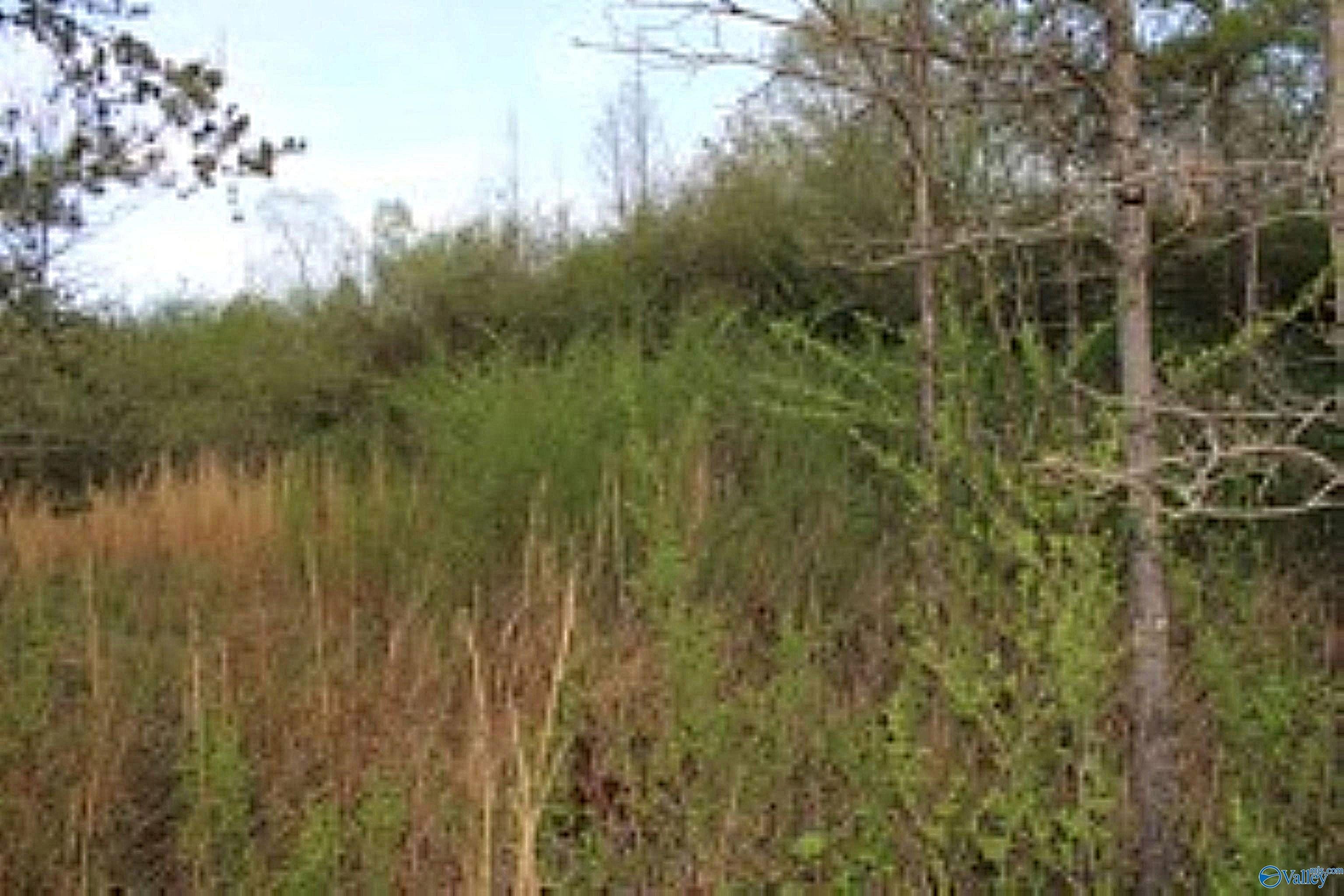 Land in Cedar Bluff, AL
