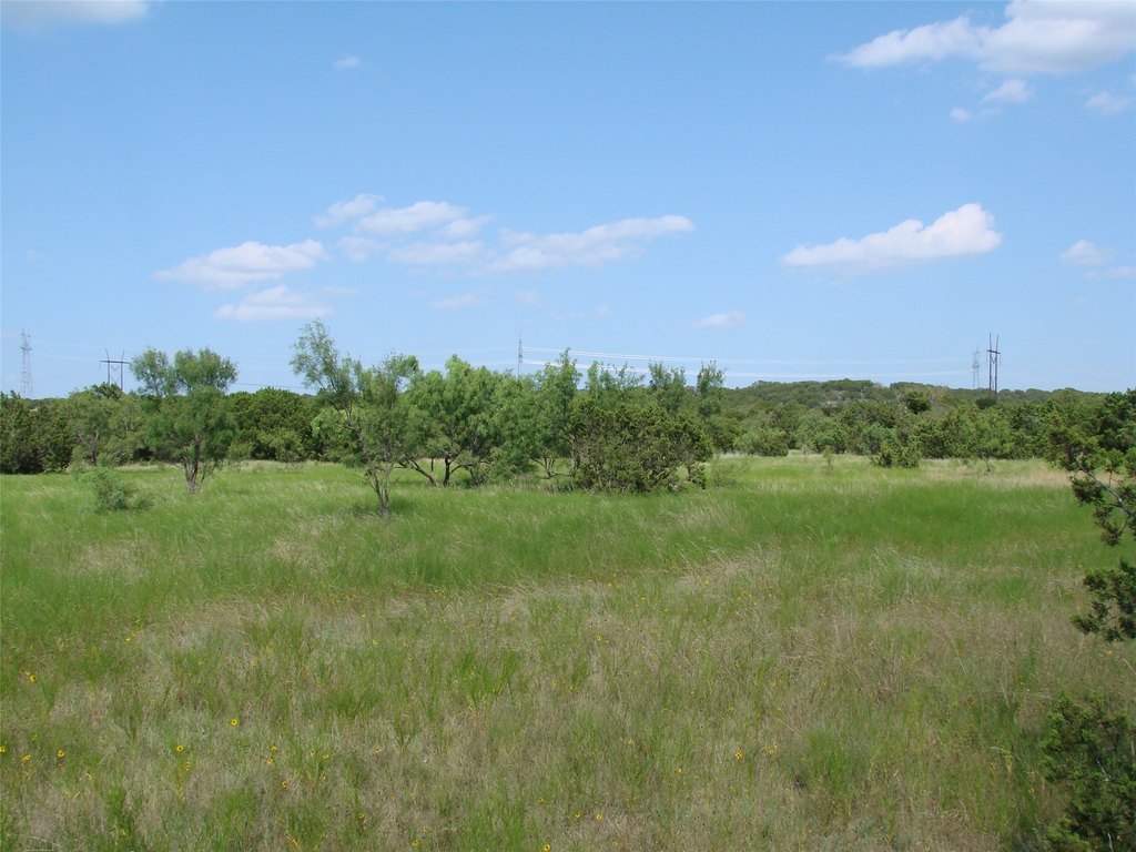 Picture 21