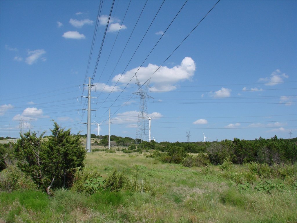 Picture 14