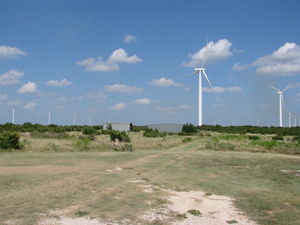 Picture 9