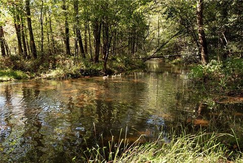 Agricultural Land with Creek