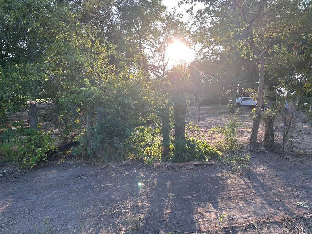 Picture 6