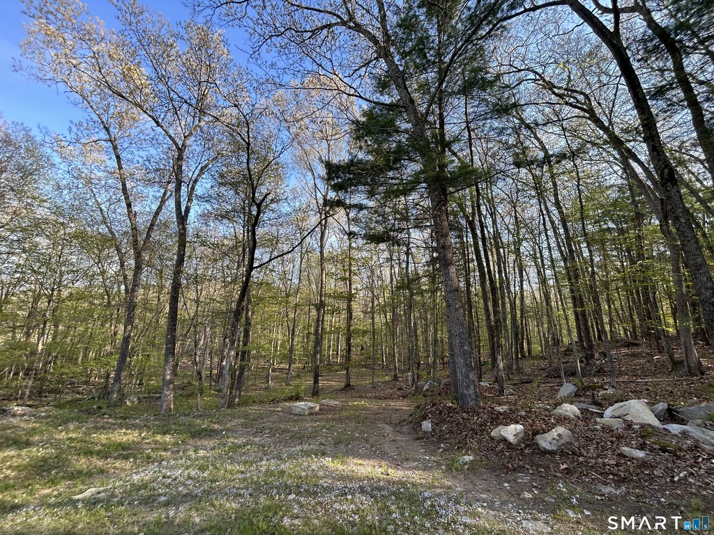 Picture 28