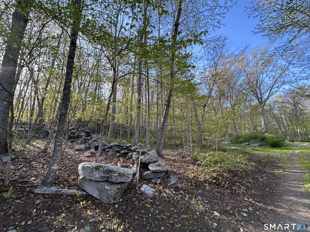 Picture 25