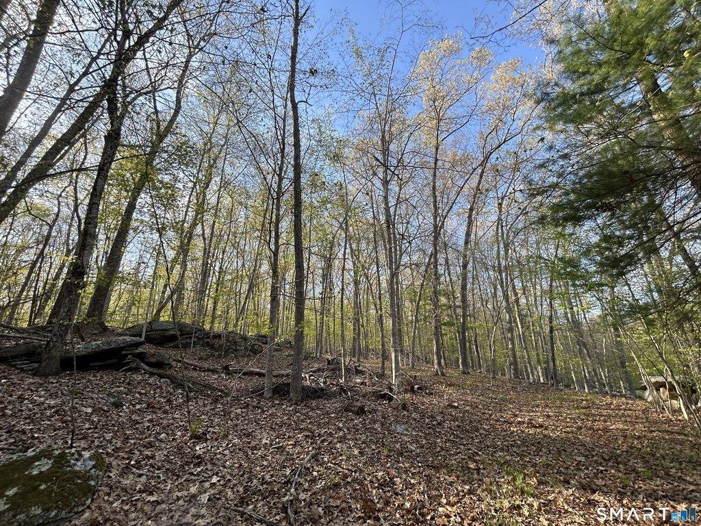 Picture 21